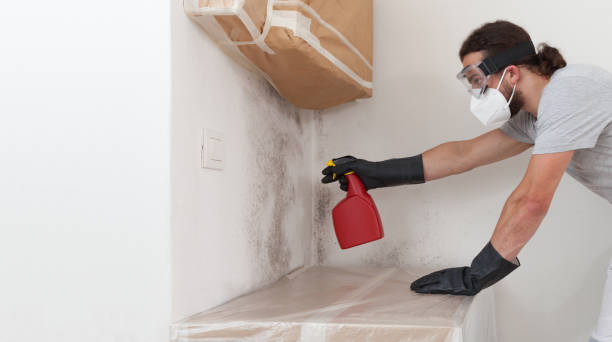 Professional Bathroom Mold Removal technician working in Levittown, NY