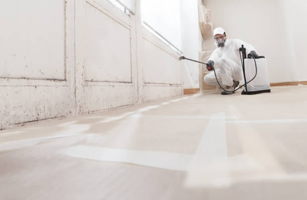 24/7 Emergency Bathroom Mold Removal experts in Levittown, NY